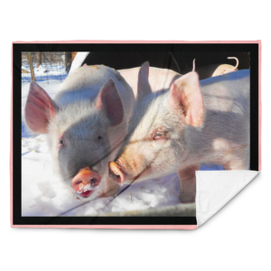 Winter pigs throw blanket featuring two pink piglets playing in the snow
